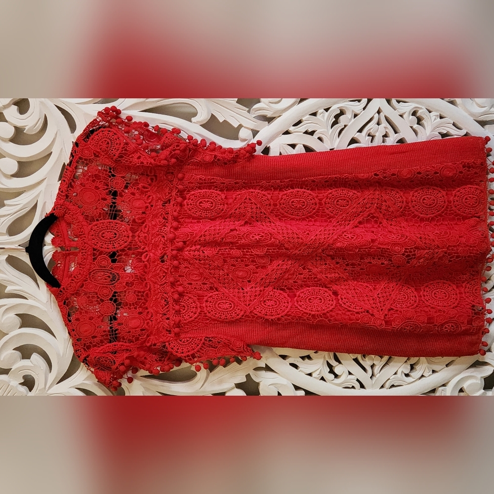 Tularosa Red Lace Mini Dress